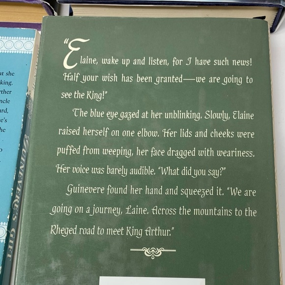 (6) Mixed set of YA Fantasy/Paranormal/historical/steampunk books various - Picture 7 of 10